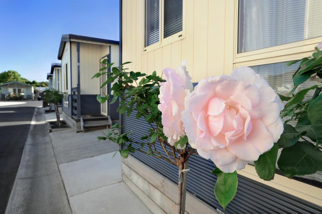 Apollo Bay Holiday Park Dış mekan fotoğraf
